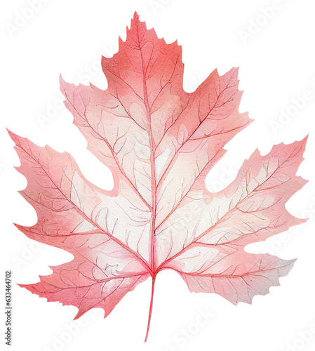 Pink Autumn Watercolor Maple Leaf