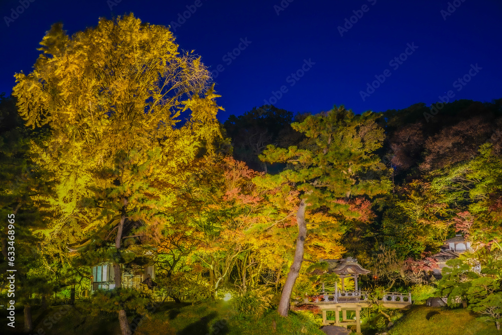 日本庭園の秋の夜