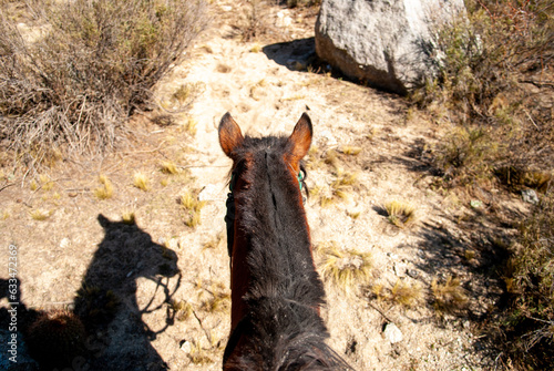 Close-up of Horse's head while riding outdoors (ID: 633472369)