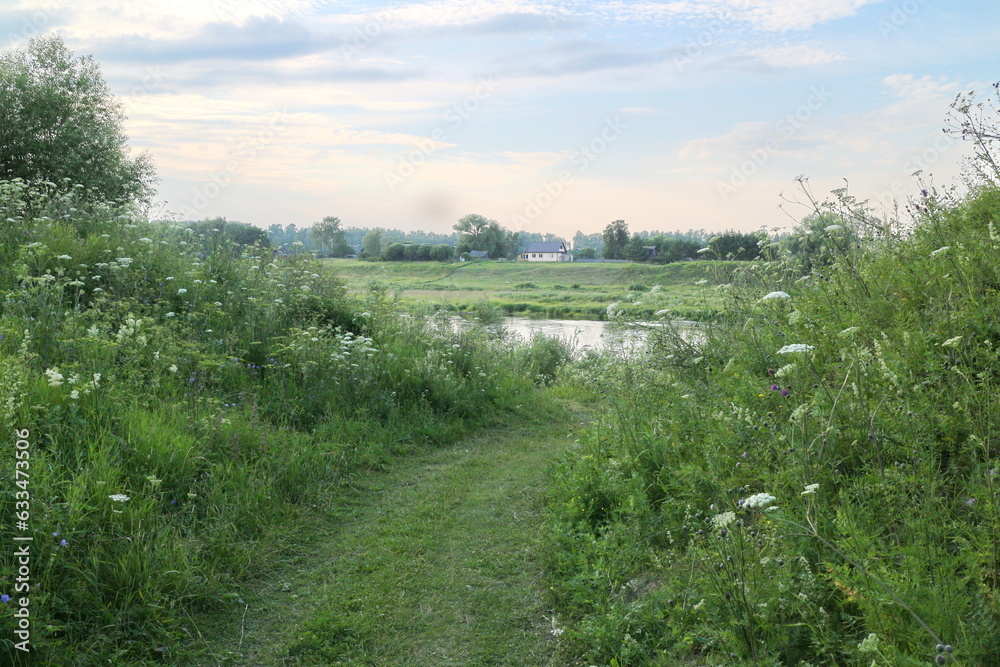 river bank in the village in summer