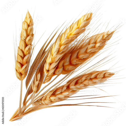 wheat ears on transparent background © I LOVE PNG