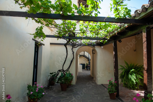 Postcard photograph of old 19th century Caserón hallway in City. (ID: 633479188)