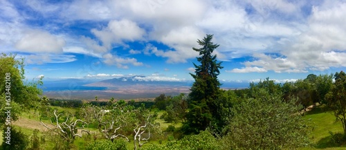 Nurturing Nature's Beauty - Ali'i Kula Lavender Farm in Kula, Maui, Hawaii