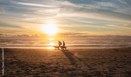Fototapeta Naklejka Na Ścianę i Meble -  Silhouettes of senior couple with dogs walking along sand beach. Oregon shore beach sunset view with people walking by.