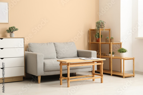 Light wooden coffee table with couch and shelving units near beige wall © Pixel-Shot