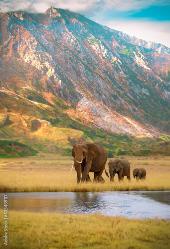 Photography elephant near the lake