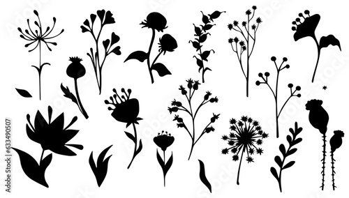Set of silhouettes of botanical elements,flowers,berries,leaves,herbs.Vector graphics.