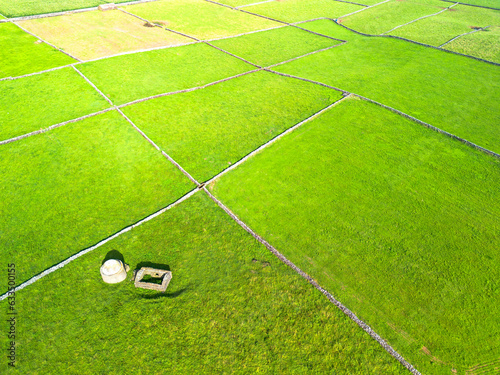 Quadrículas verdes de erva nos prados de pastagem dos Açores.  photo