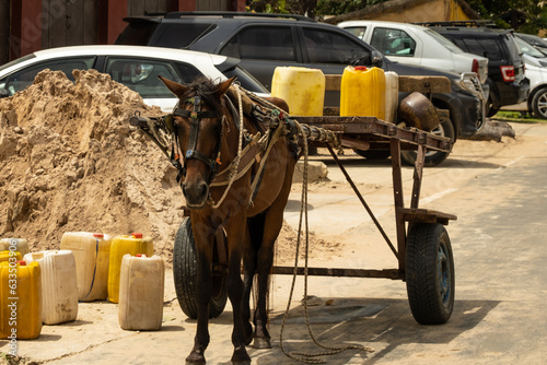 horse and cart