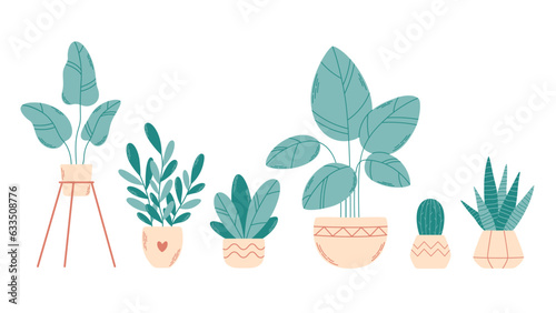 Home potted plants. Houseplants. Home interior. Vector illustration in flat style