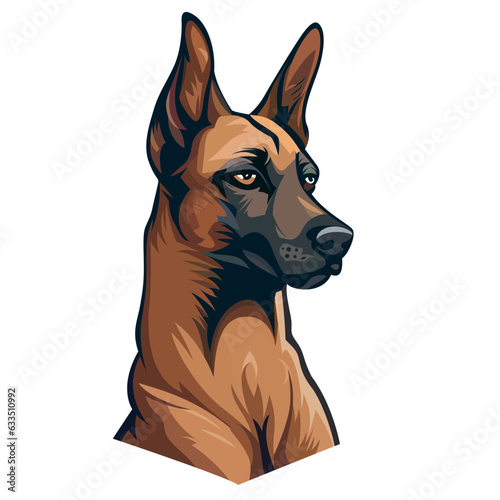 belgian malinois dog on alert vector illustration, Belgian Shepherd , Belgian Sheepdog or the Chien de Berger Belge stock vector image, colored and black and white  image