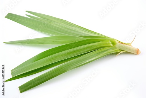 Fresh green bunch of lemon grass leaves isolated on white background. Generative AI