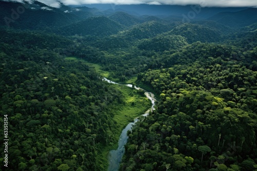 aerial view of lush, protected rainforest landscape