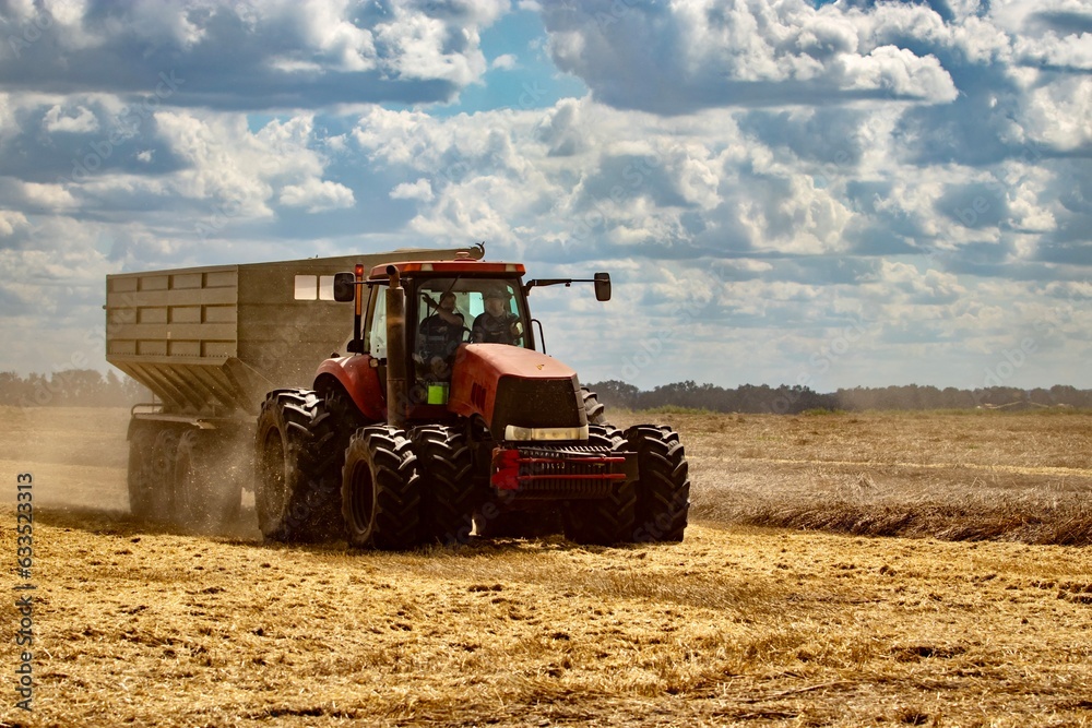 Fototapeta premium Tractor with the grain cart working on a field