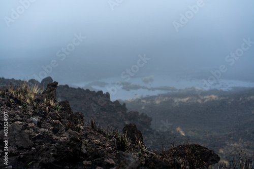 Brushfire Aftermath in Hawaii After Hurricane Lane Reflecting Climate Change 