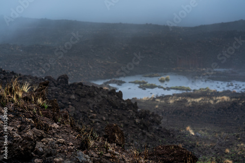 Brushfire Aftermath in Hawaii After Hurricane Lane Reflecting Climate Change 