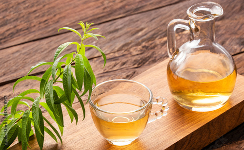 Lemon verbena medicinal healthy tea - Aloysia citrodora