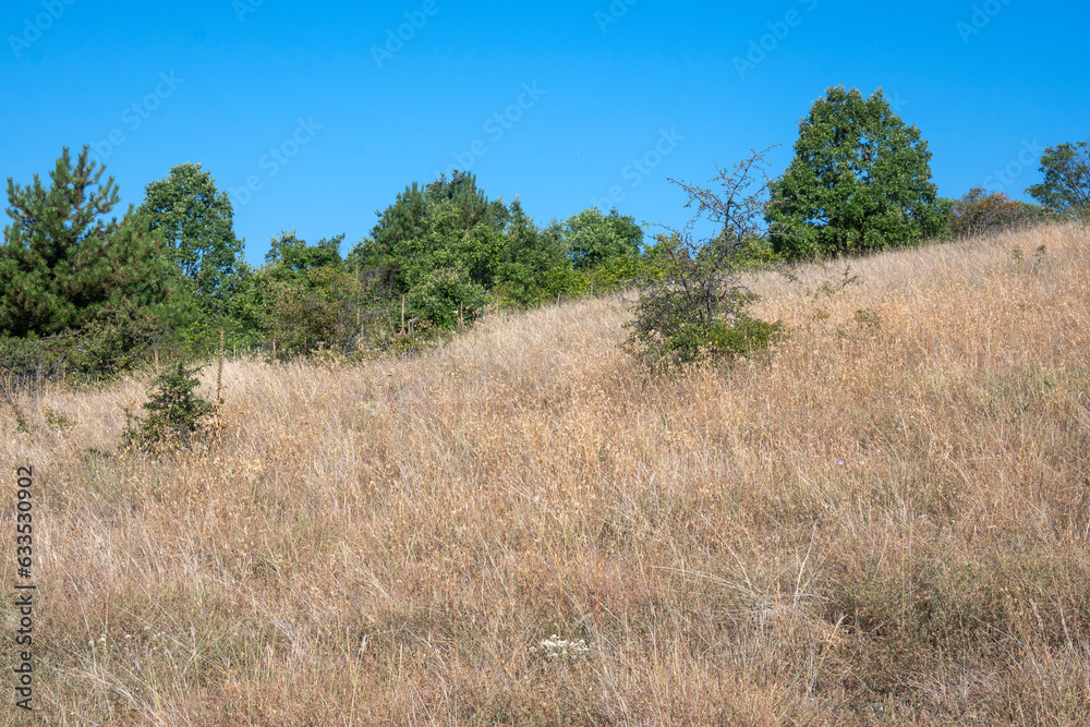 Amazing Summer Landscape of Rudina mountain, Bulgaria Amazing Summer Landscape of Rudina mountain, Bulgaria