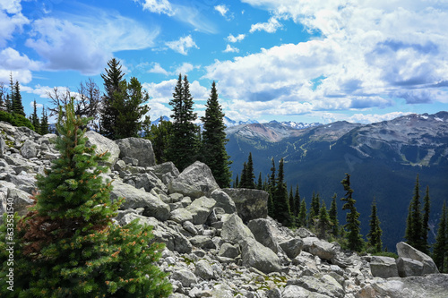 Hiking trails near Whistler, British Columbia Canada