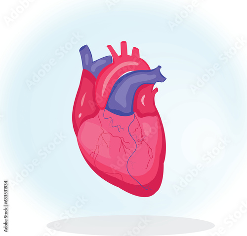 Heart Human Body Organ Anatomic Anatomic Medical and Healthcare illustration
