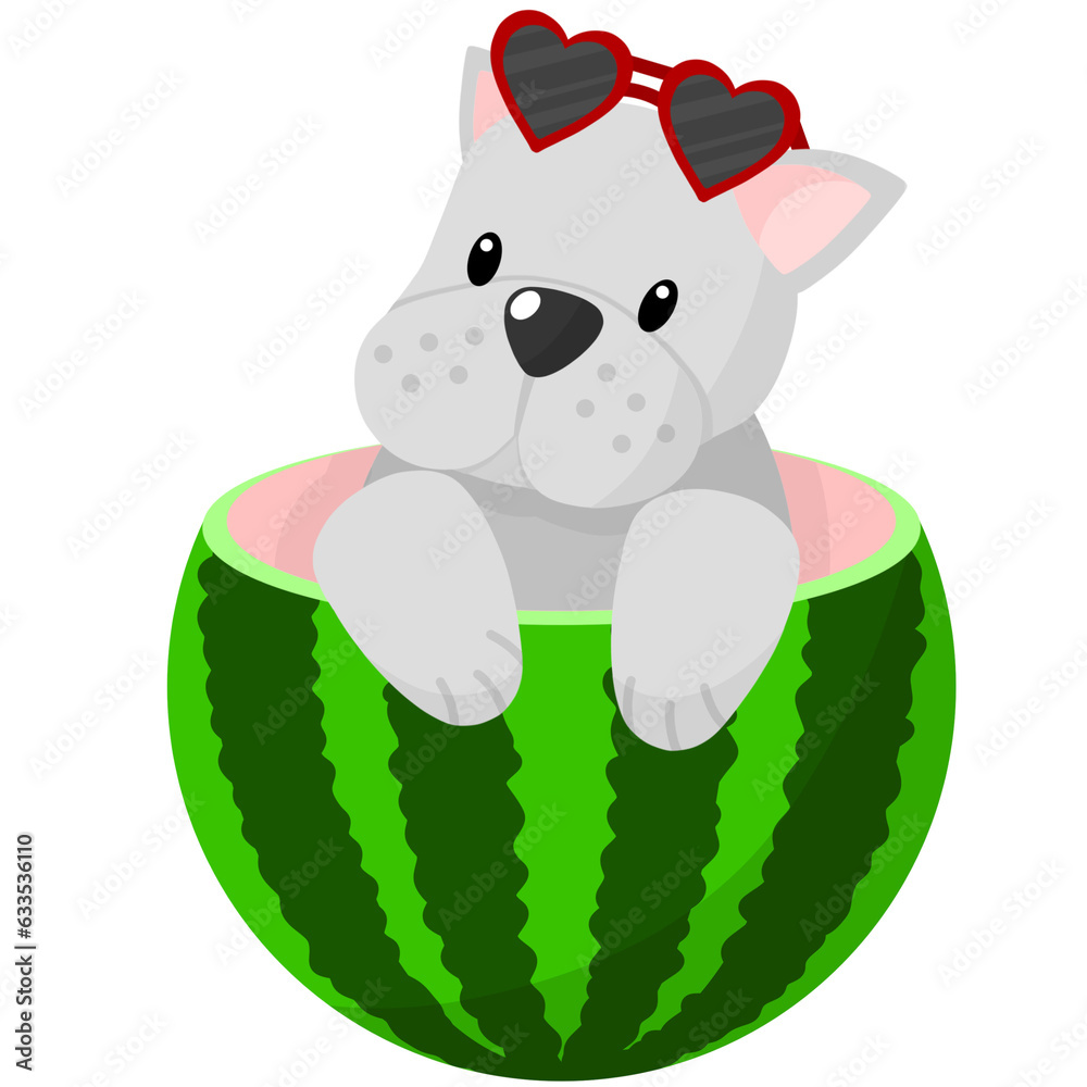 Fototapeta premium Puppy in the watermelon