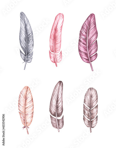 Hand drawn watercolor set of feathers © SashaKondr