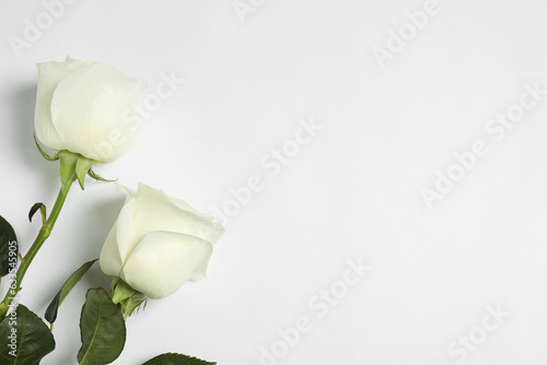 Fototapeta Naklejka Na Ścianę i Meble -  Beautiful roses on white background, flat lay with space for text. Funeral symbol