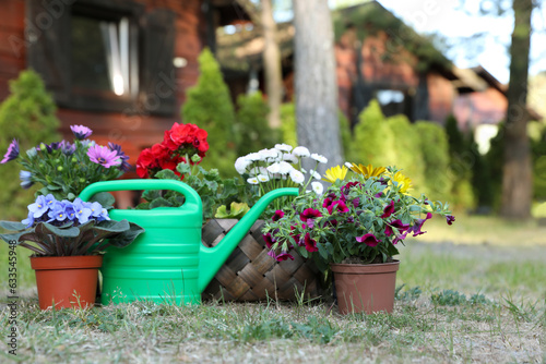 Beautiful blooming flowers and watering can on green grass in garden, space for text