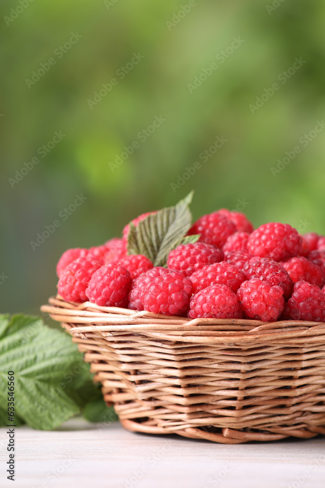 Wicker basket with tasty ripe raspberries and leaves on white wooden table against blurred green background, closeup. Space for text Wicker basket with tasty ripe raspberries and leaves on white wooden table against blurred green background, closeup. Space for text