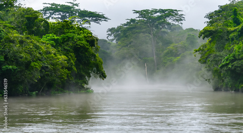 majestic amazon river with mist