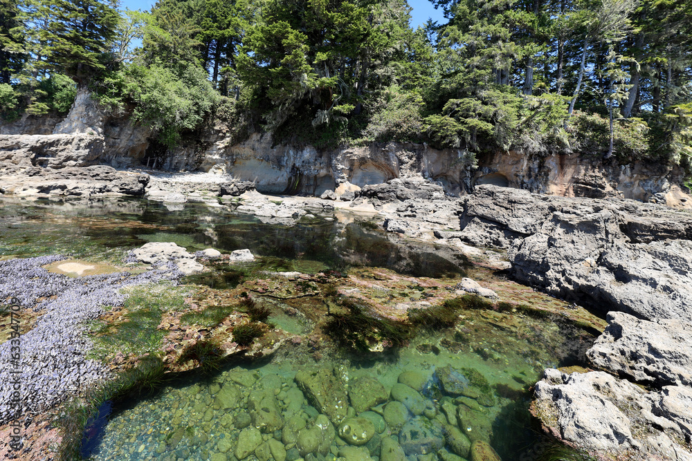 Fototapeta premium Water pools in the rocks during low tide