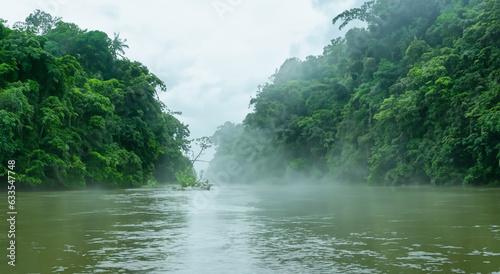 amazing river of the amazon with fog and forest area in a sunrise in high resolution and sharpness