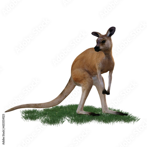 Kangaroo animal isolated 3d