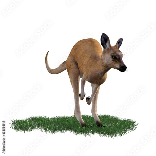 Kangaroo animal isolated 3d