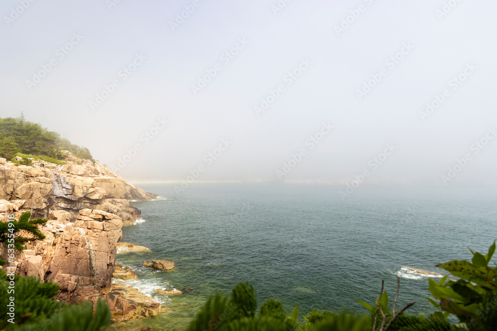 Fototapeta premium The Rocky Coast of Mount Desert Island
