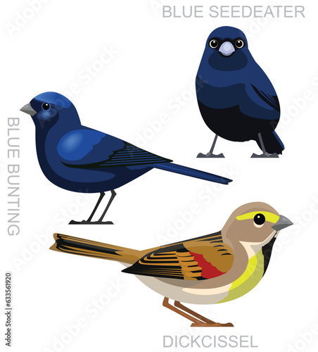 Cute Bird Dickcissel Bunting Seedeater Set Cartoon Vector photo