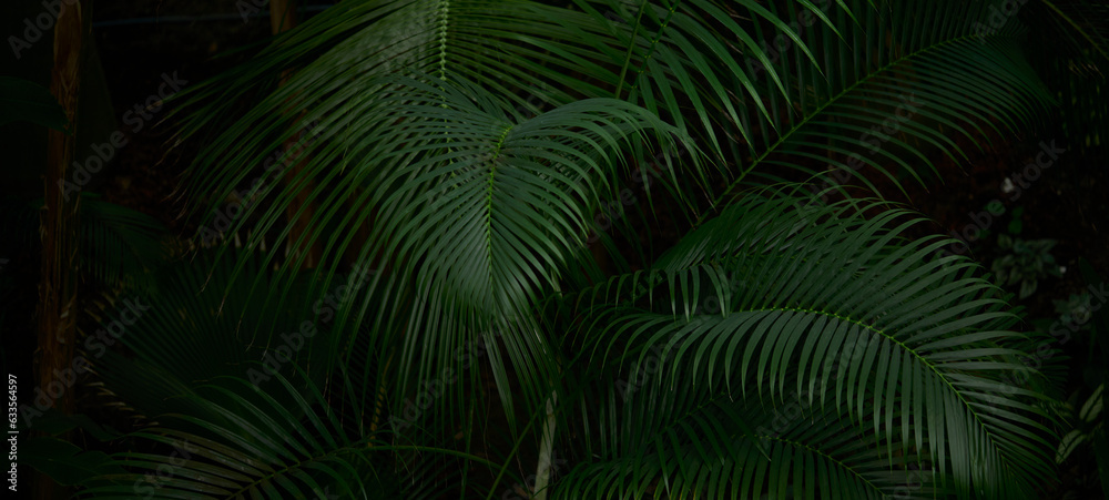 Tropical green leaves on background, nature summer forest plant concept.
Creative layout made of tropical leaves. Nature concept. Tropical green leaves on background, nature summer forest plant concept.
Creative layout made of tropical leaves. Nature concept.