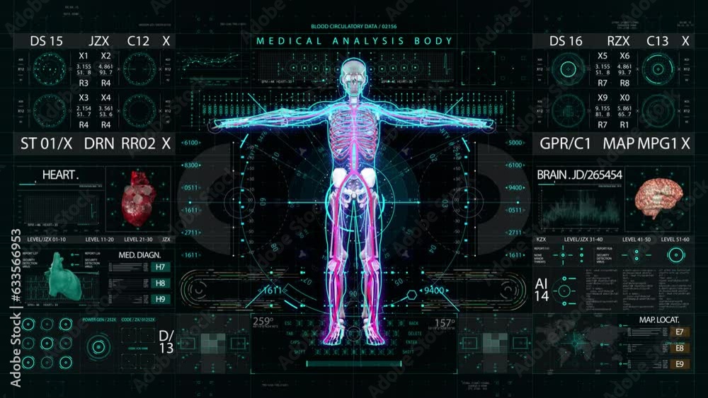 Body skeleton medical HUD interface display. High quality 4k footage