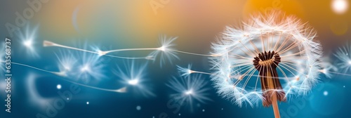 Abstract blurred nature background dandelion seeds parachute. Bokeh pattern.  photo