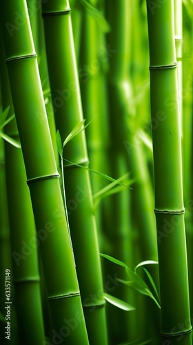 The Green Bamboo Forest. A Place of Peace and Tranquility. AI Generative