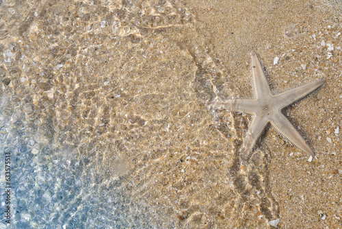 Image of beautiful sea Starfish and white sandy beach
