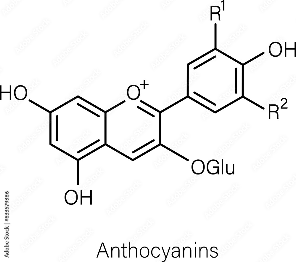 Formula of chemical structure of Anthocyanins, Catechins, Flavones. Formula of chemical structure of Anthocyanins, Catechins, Flavones.