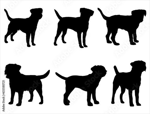 Set of Border Terrier Dog silhouette vector art