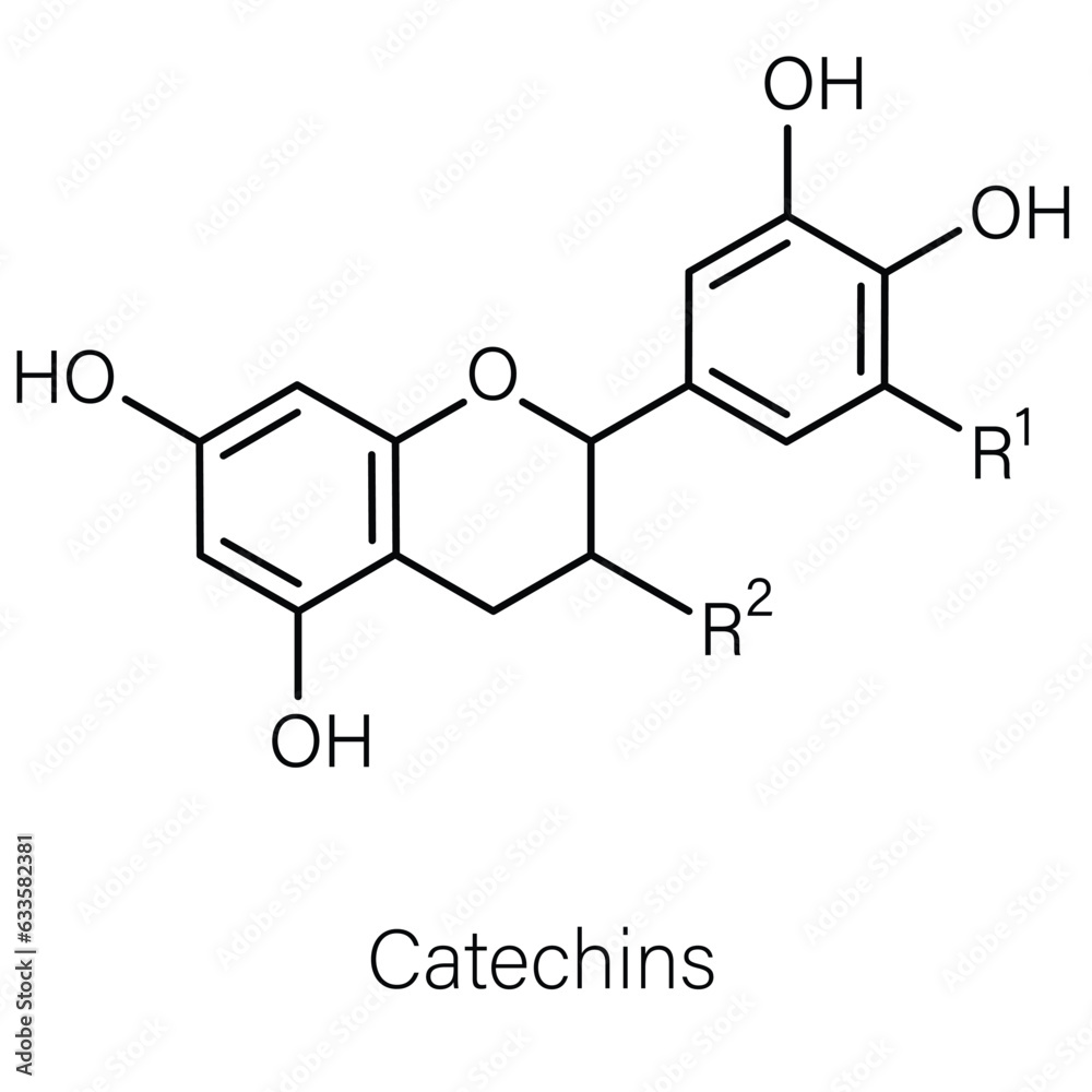 Formula of chemical structure of Pyrogallol, Gallic acid, Caffeic acid. Formula of chemical structure of Pyrogallol, Gallic acid, Caffeic acid.