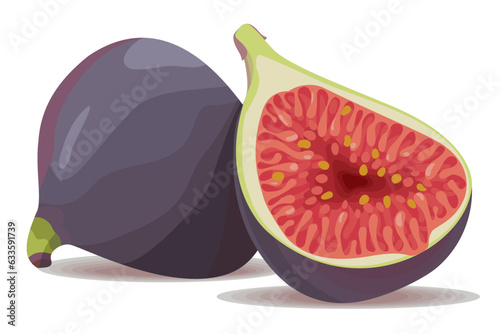 Fresh Fig Black Mission Fig Purple Fig Hand Drawn Vector Illustration Set Isolated