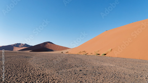 Low-angle view of the Namib desert and sand dunes on the side  Naukluft National Park  Namibia