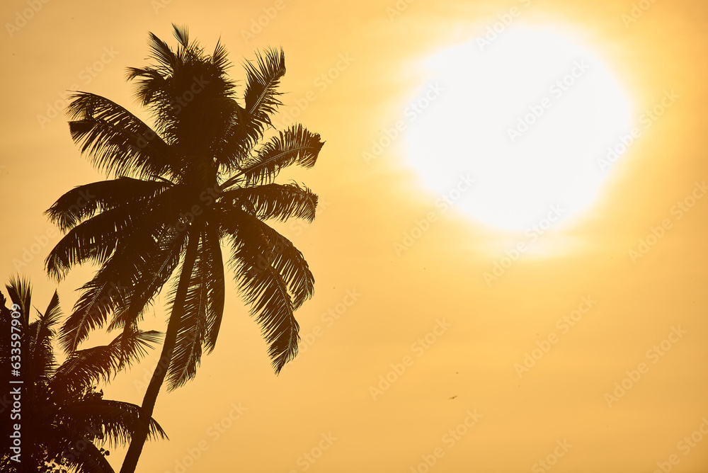 Palm tree surrounded by a yellow sunrise landscape. Morning sun, palm tree leaves in chiaroscuro.