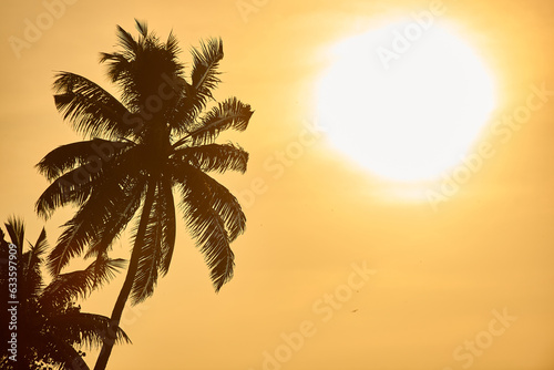 Obraz na płótnie Palm tree surrounded by a yellow sunrise landscape. Morning sun, palm tree leaves in chiaroscuro. w salonie