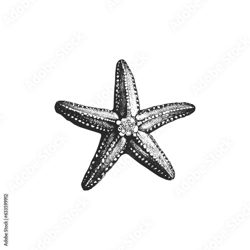 Starfish Engraving Style Monochrome Clipart Vector Illustration
