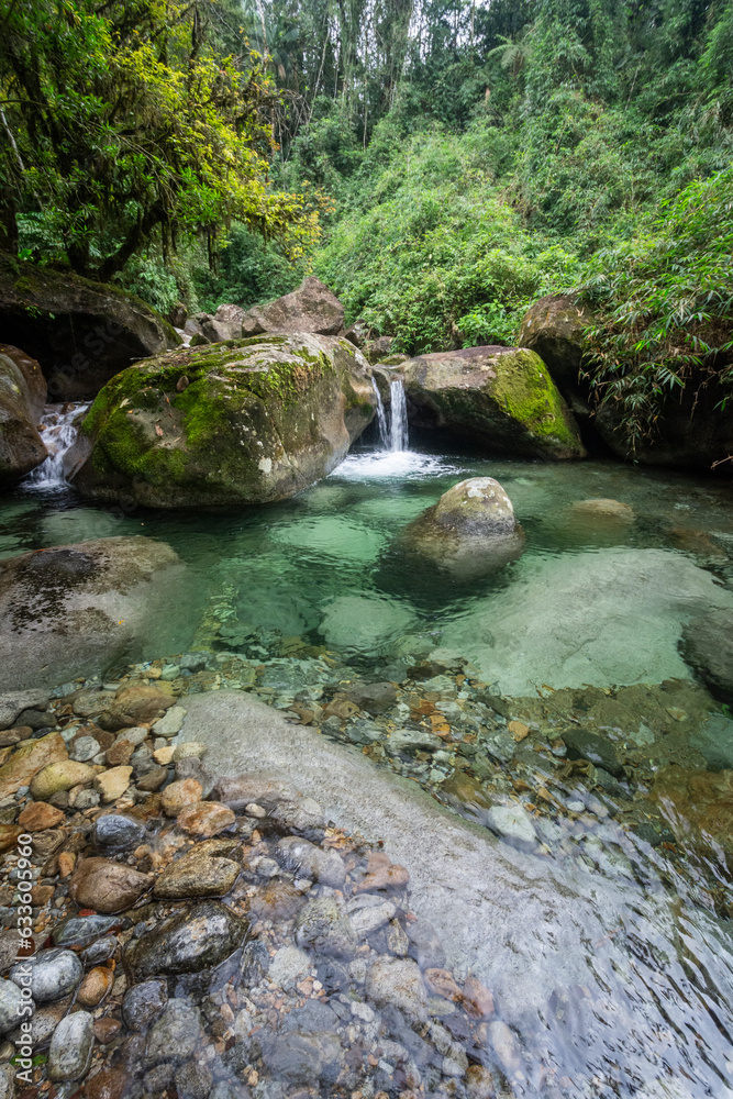 Beautiful view to tropical green rainforest crystal clear water pool Beautiful view to tropical green rainforest crystal clear water pool
